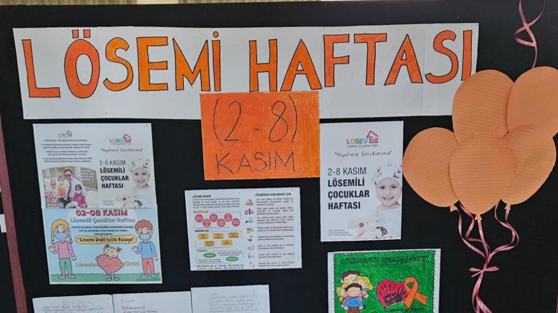 LÖSEMİ HAFTASI 2-8 KASIM